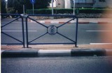 picture_   